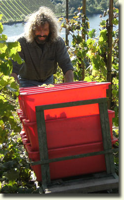 Franz-Josef bij de wijn oogst in de Fettgarten
