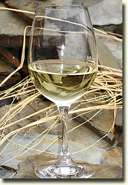 Wijn proeven op het wijngoed "Dreiherremüehle"